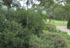Warrah Ridgeresidential-landscaping-35.jpg; ?>
