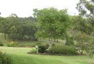 Warrah Ridgeresidential-landscaping-40.jpg; ?>
